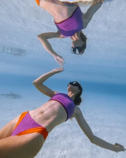 Vega Bikini Bottom - Jazzberry