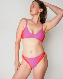 Vega Bikini Top - Jazzberry